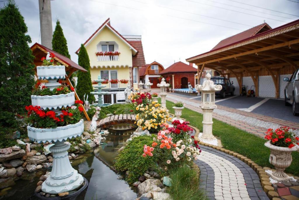 Vila Adr Petresti Zewnętrze zdjęcie